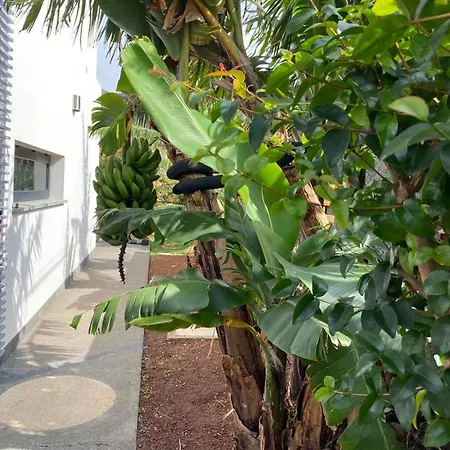 Urban Farm Machico (Madeira)