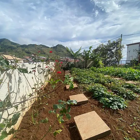 Apartamento Urban Farm *