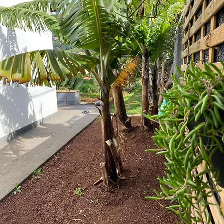 Urban Farm Apartment Machico (Madeira)